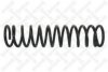 VW 71851365 Coil Spring